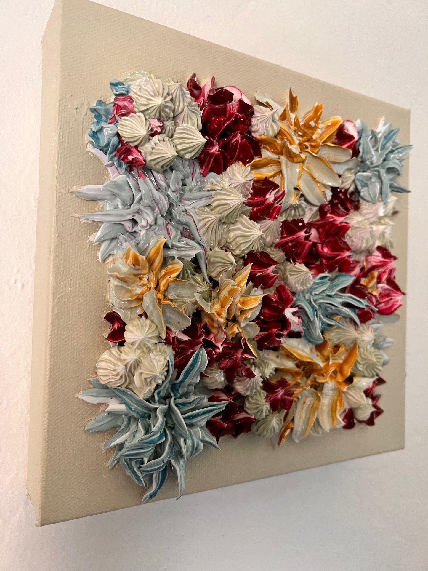 AZ Sage Succulents 8x8x1.5