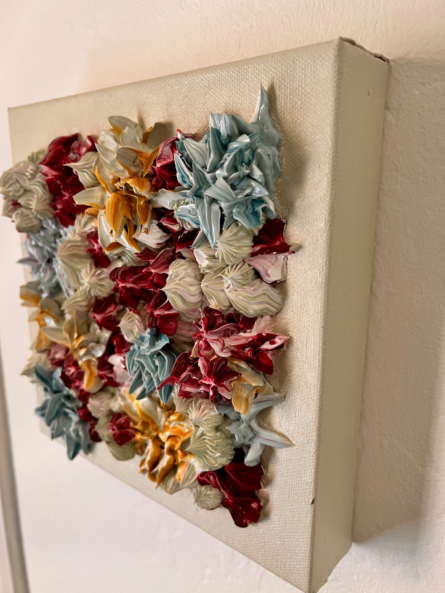 AZ Sage Succulents 8x8x1.5