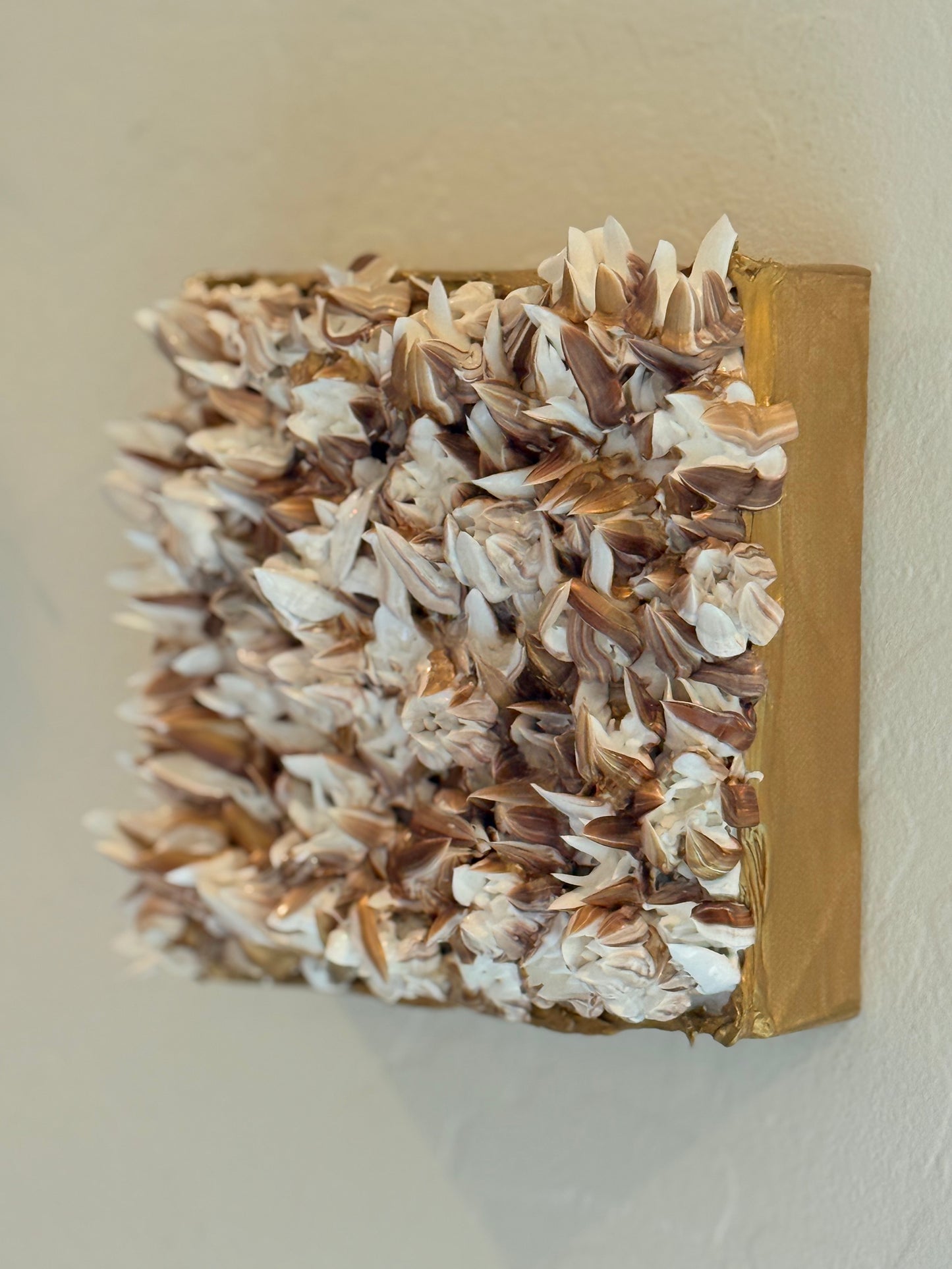 Bronze, Gold and White Flower Garden 6x6x1.5